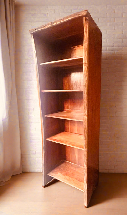 A Large Un-cut tree Bookshelf