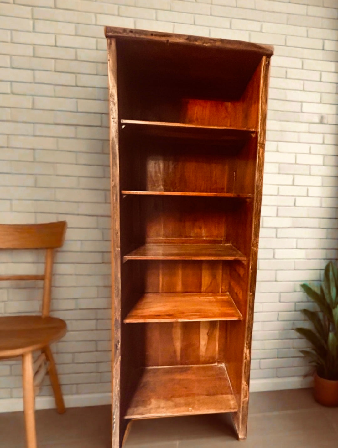 A Large Un-cut tree Bookshelf